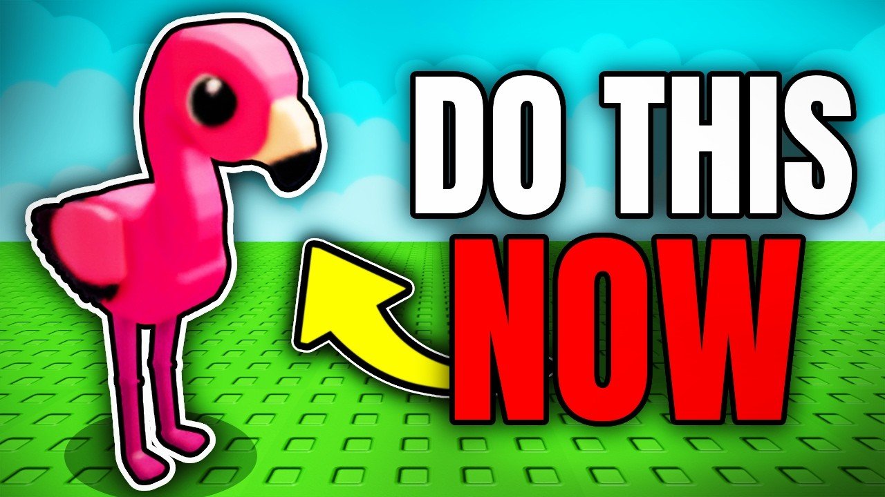 10 Things YOU NEED TO DO Before MEGA HARVEST UPDATE! (Grow a Garden)